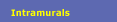 Intramurals